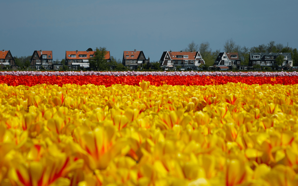 A Dutch Municipality takes control of its digital future